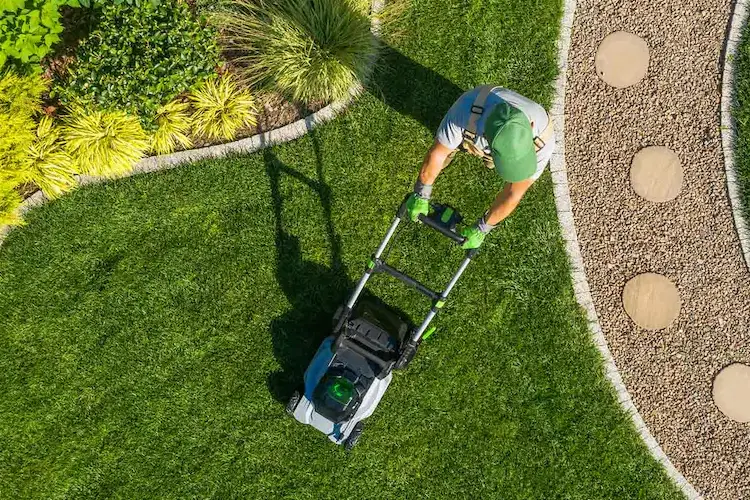 TruHelp LLC lawn Serices